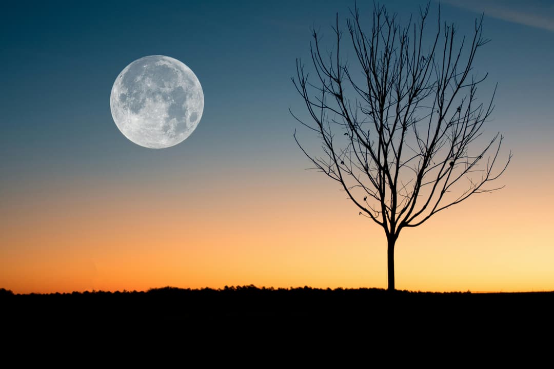 tablet moon